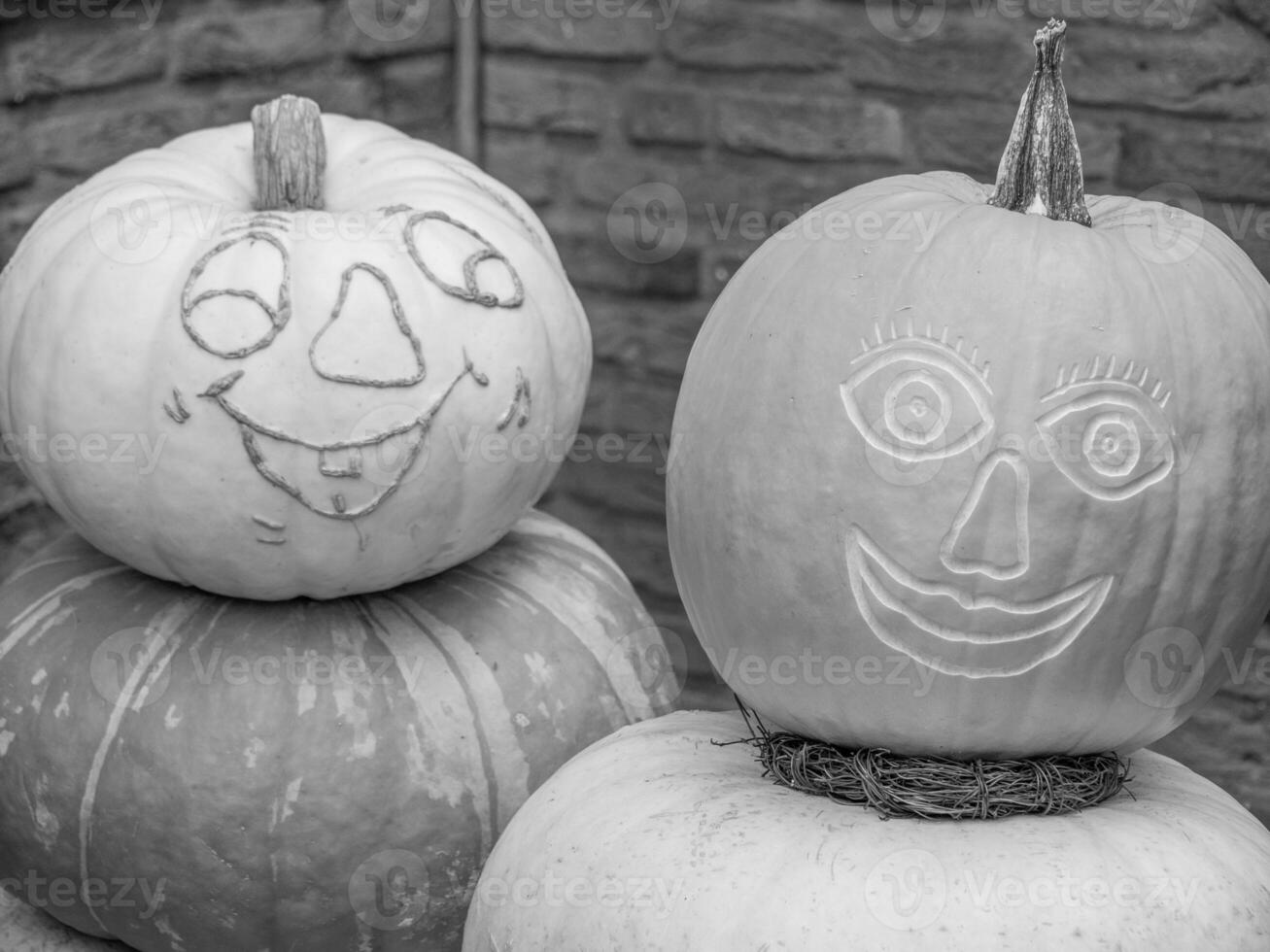 pumpkins in the german westphalia photo