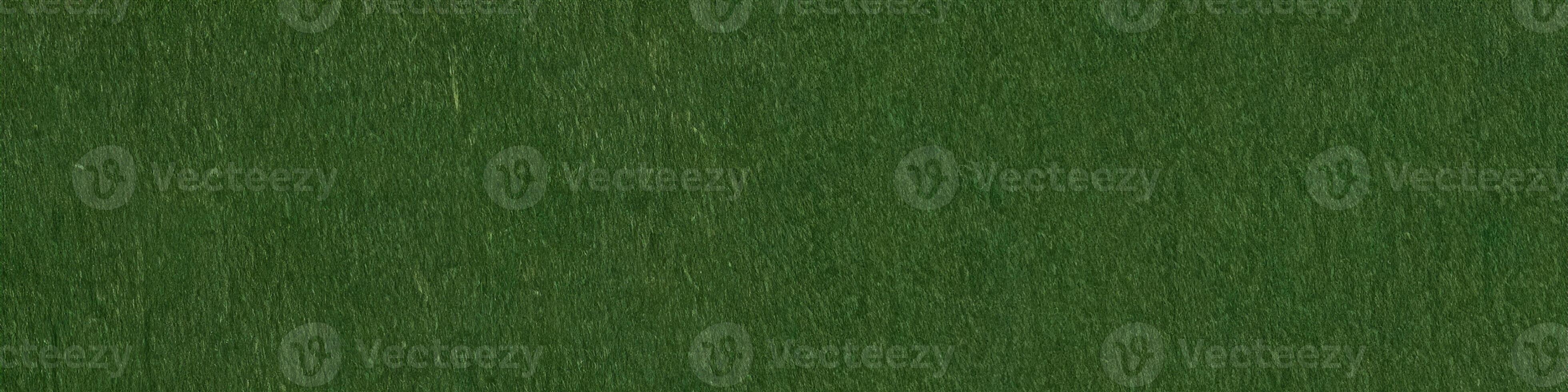 Macro shot of green felt cloth. Panoramic seamless texture, patt photo