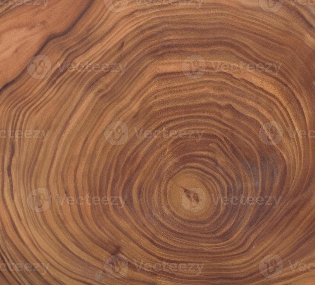 brown background and texture Cross section of tree trunk showing growth rings photo