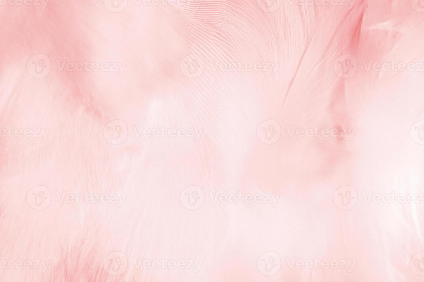 Beautiful line soft pink feather pattern texture background photo
