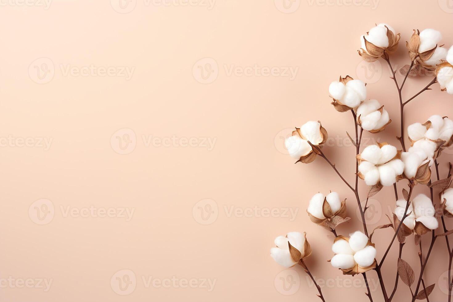 AI generated top view dried sprig of cotton on a beige background, minimalistic natural decoration with copy space photo