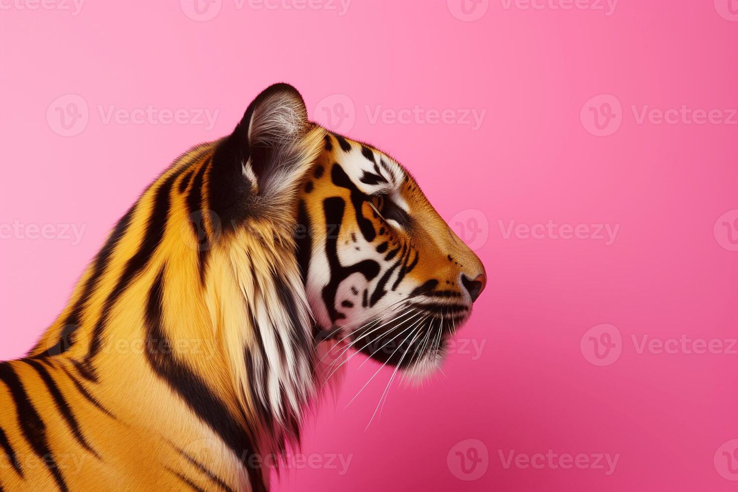 AI generated portrait of a tiger in profile on a bright pink background photo