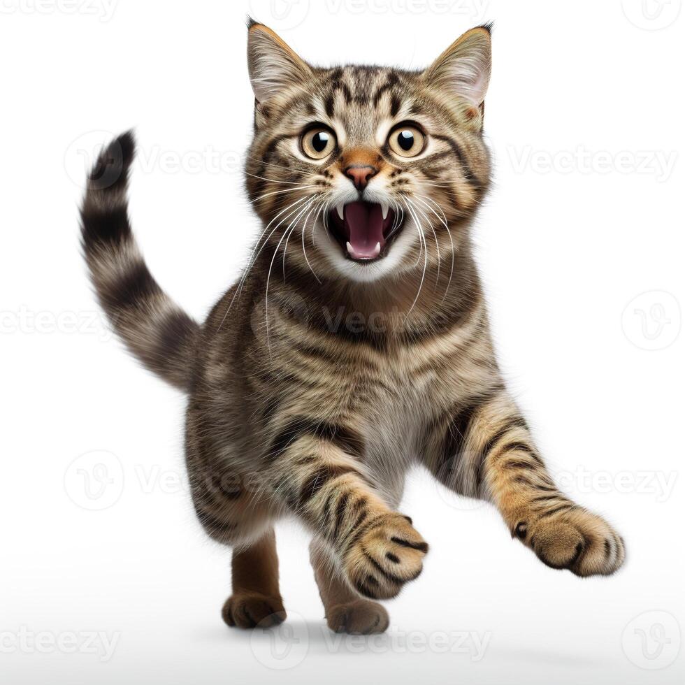 AI generated cute playful young tabby cat jumping, isolated on white background photo