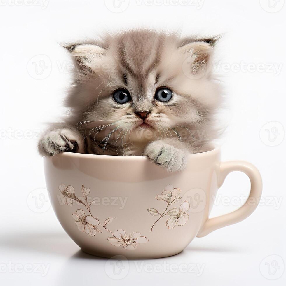 ai generado linda mullido gatito dentro en un taza en blanco antecedentes foto