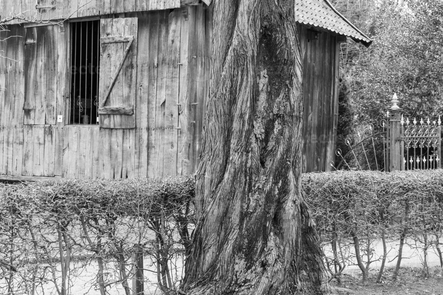 old house and church in westphalia photo