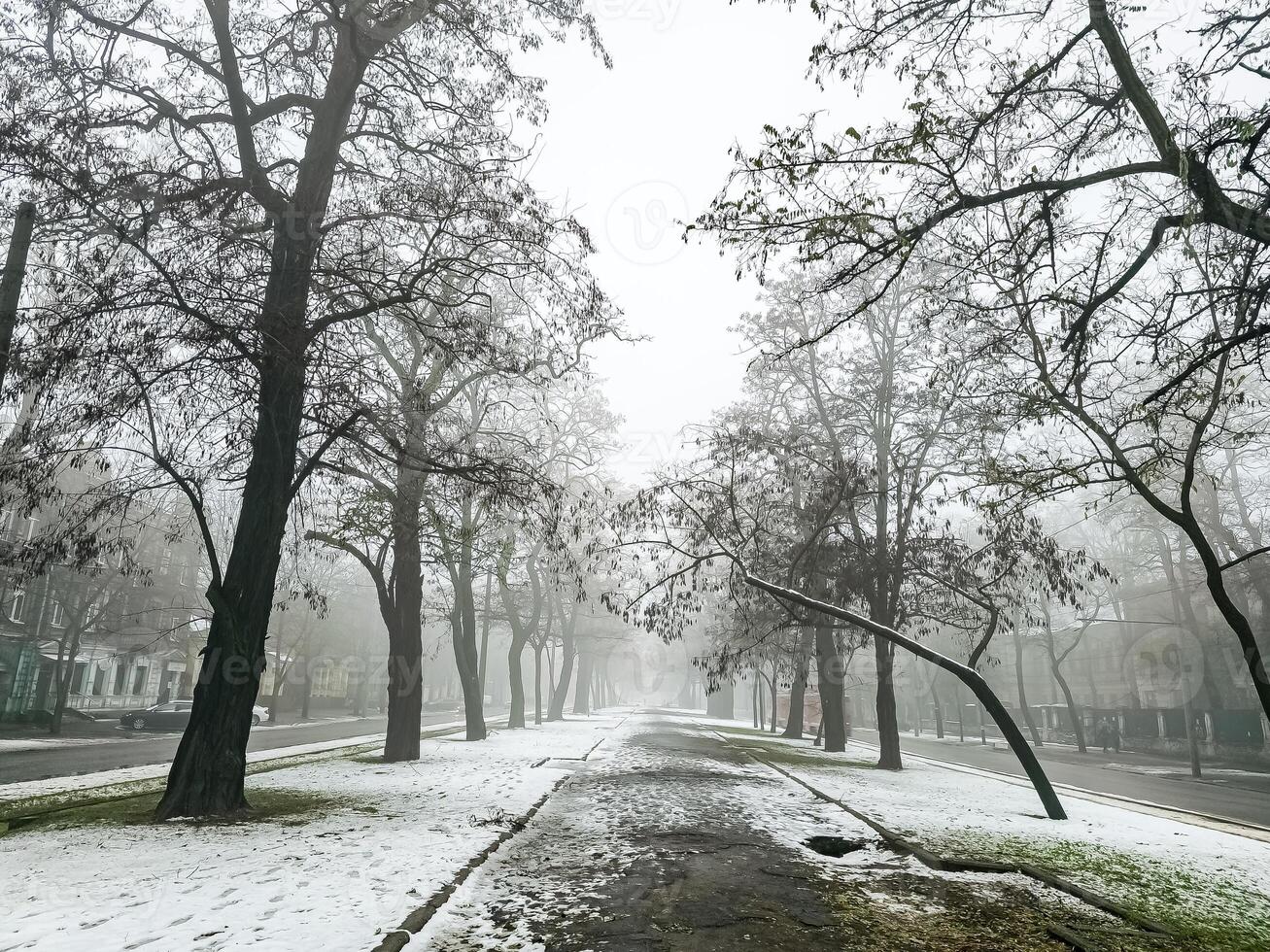 Fog in a city park. Sad autumn landscape. Fog means a change in weather. photo