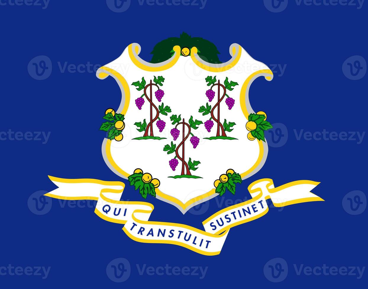 The official current flag of Connecticut USA state. State flag of Connecticut. Illustration. photo