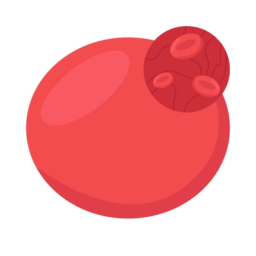 blood with  red blood cells illustration vector