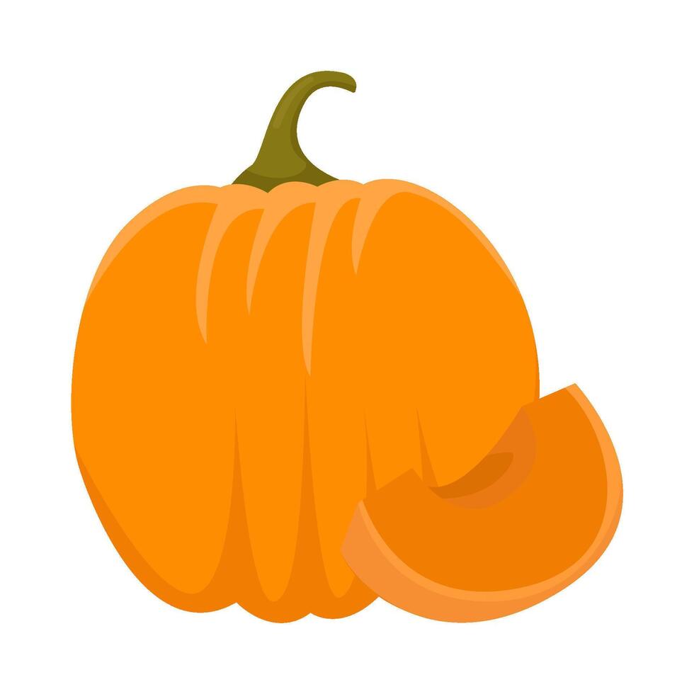 pumpkin halloween illustration vector