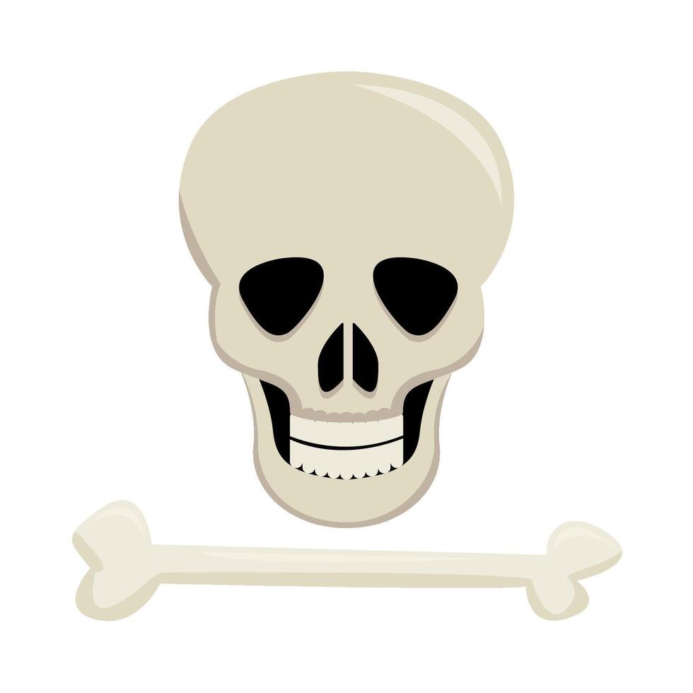 skull with bone illustration vector