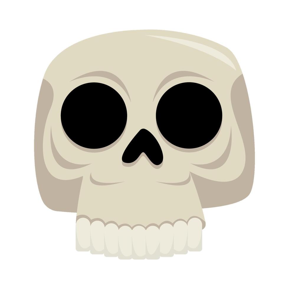 skull human illustration vector