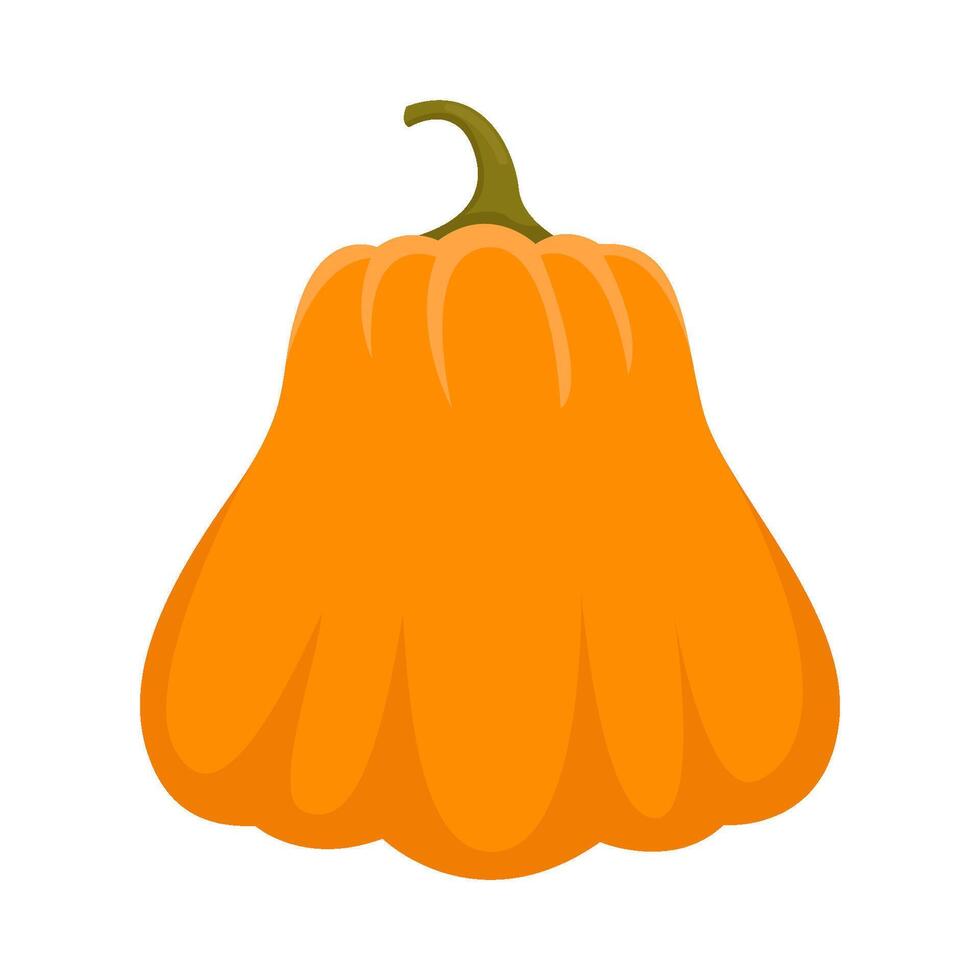 pumpkin halloween illustration vector