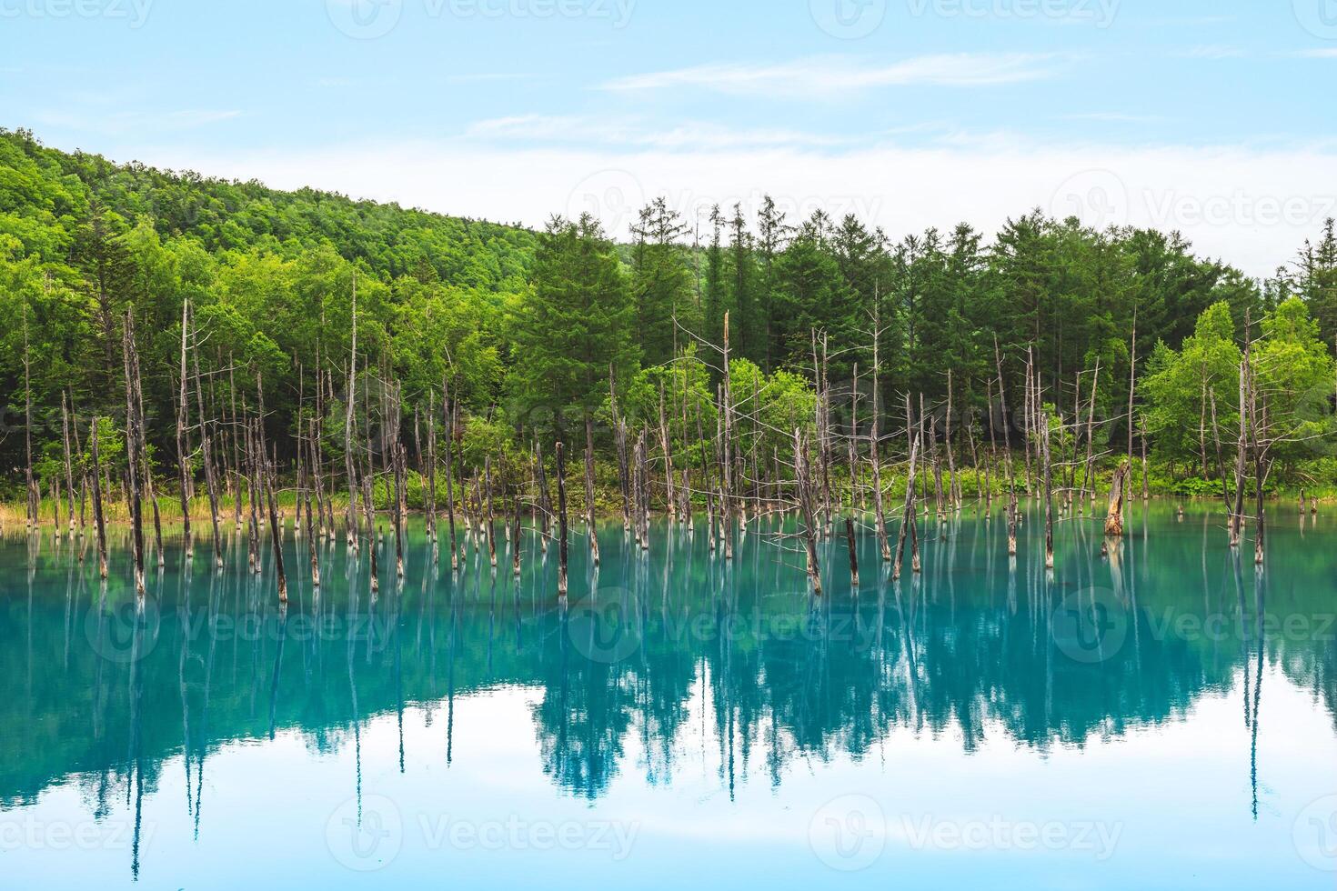 Scenery of Biei Blue Pond in Hokkaido, Japan photo