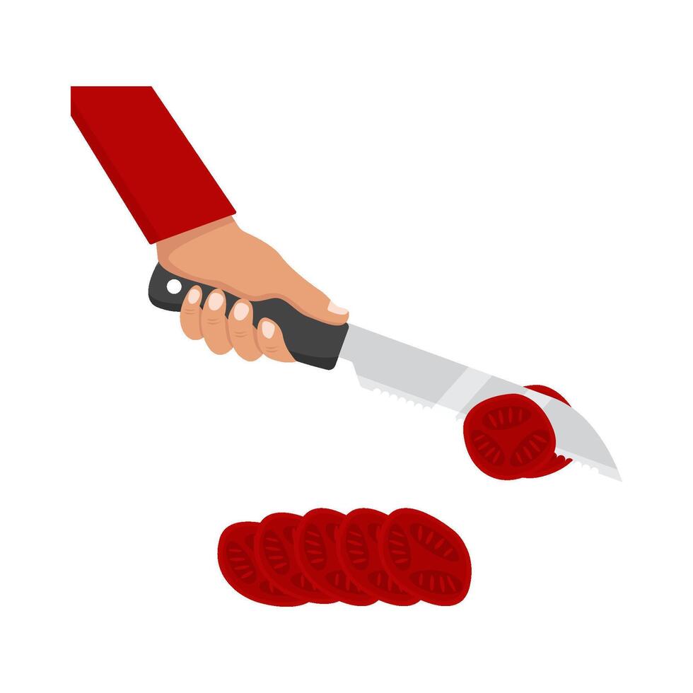 knife in hand piece tomato illustration vector