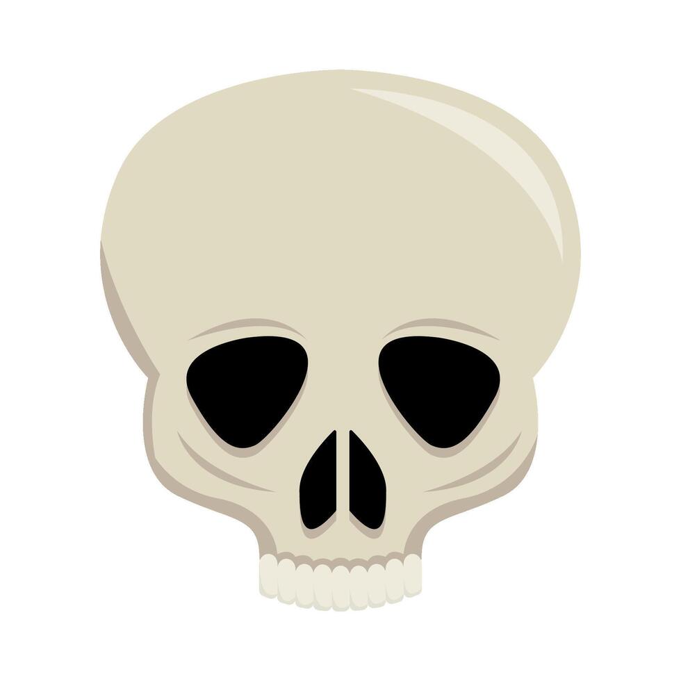 skull human illustration vector