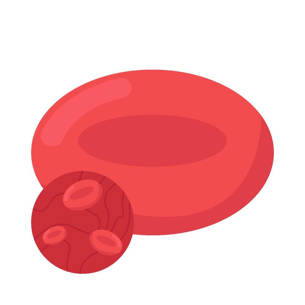 rojo sangre células ilustración vector