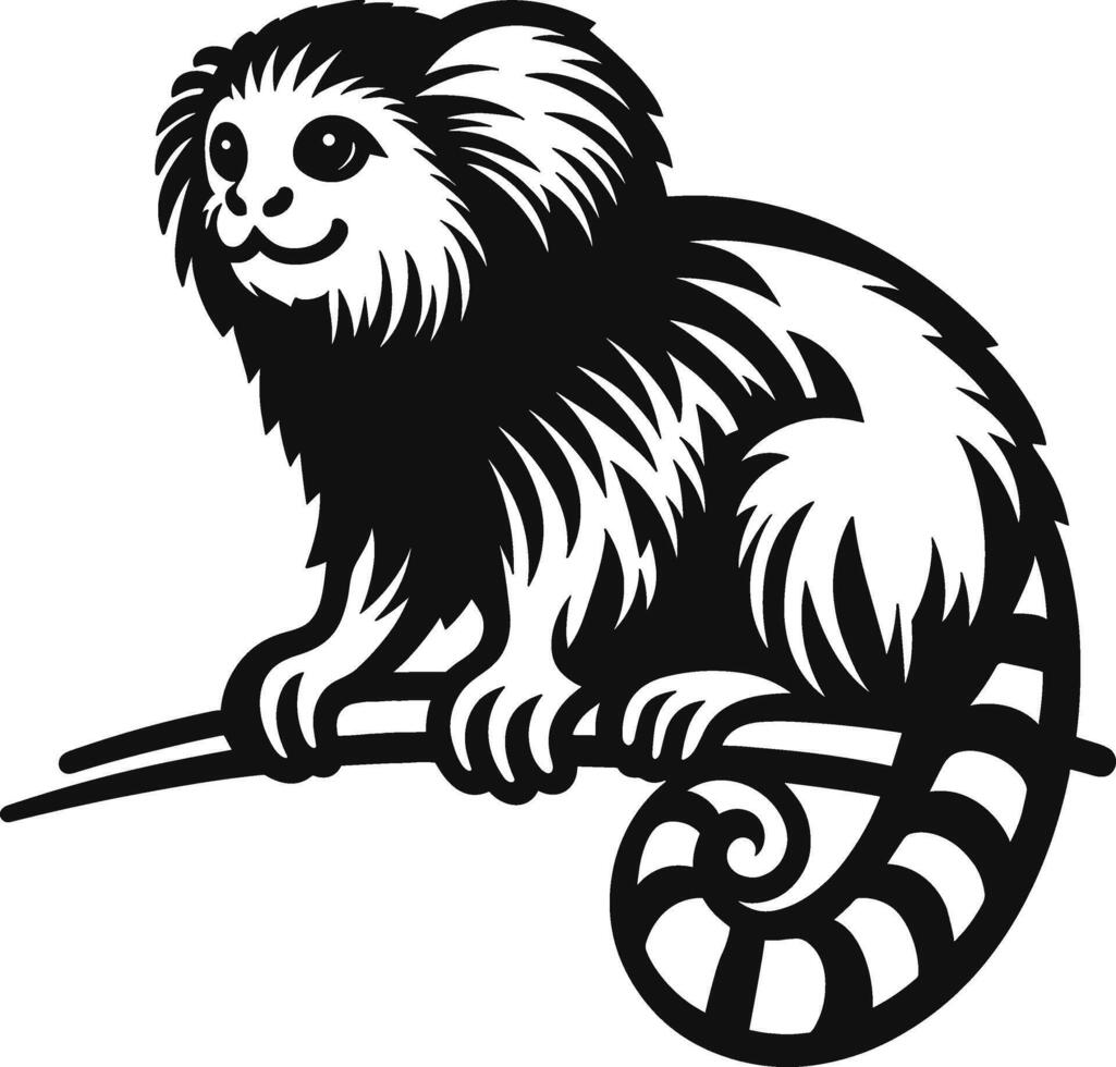 Marmoset Monkey Animal vector