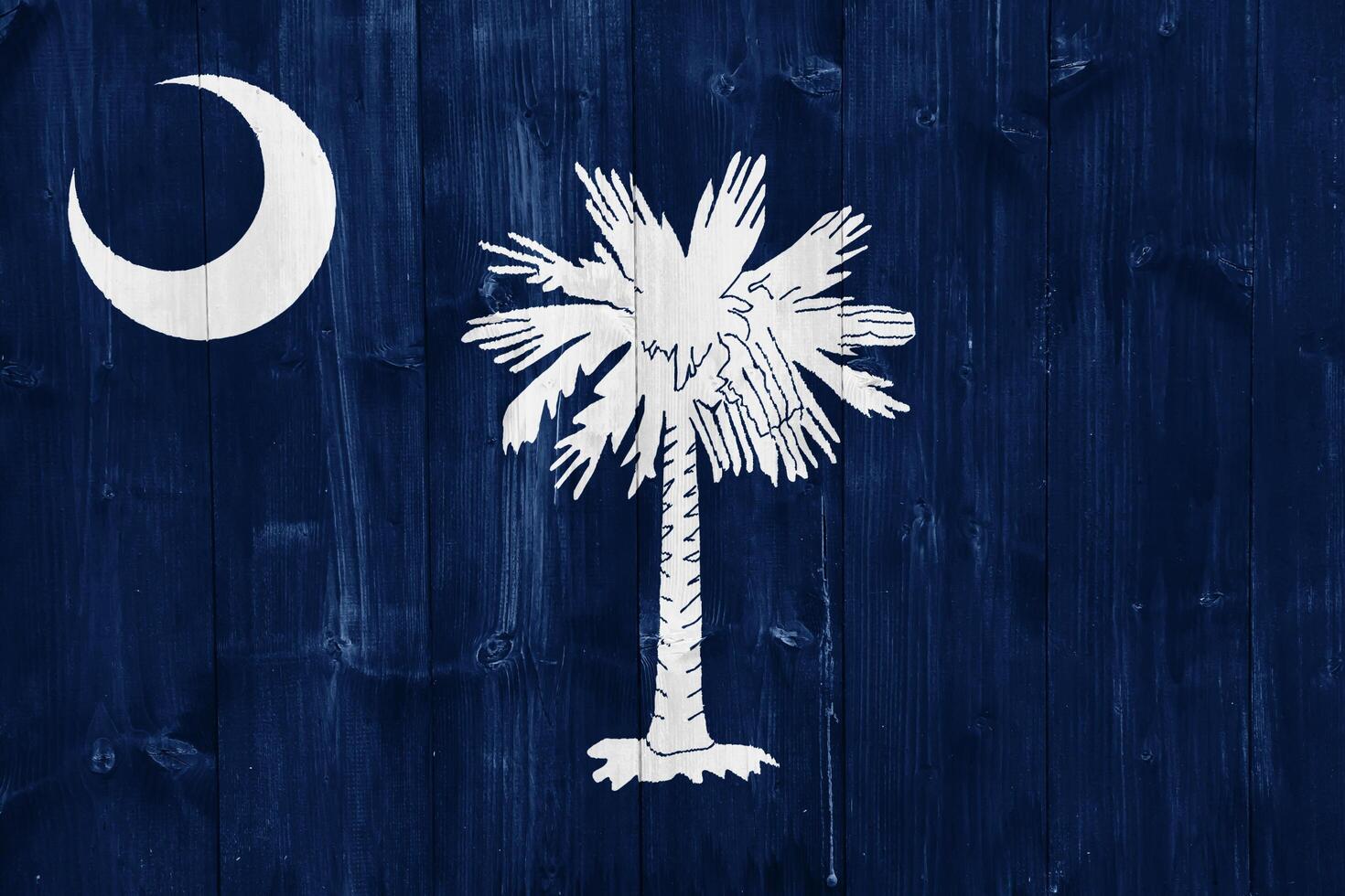 Flag of South Carolina USA state on a textured background. Concept collage. photo