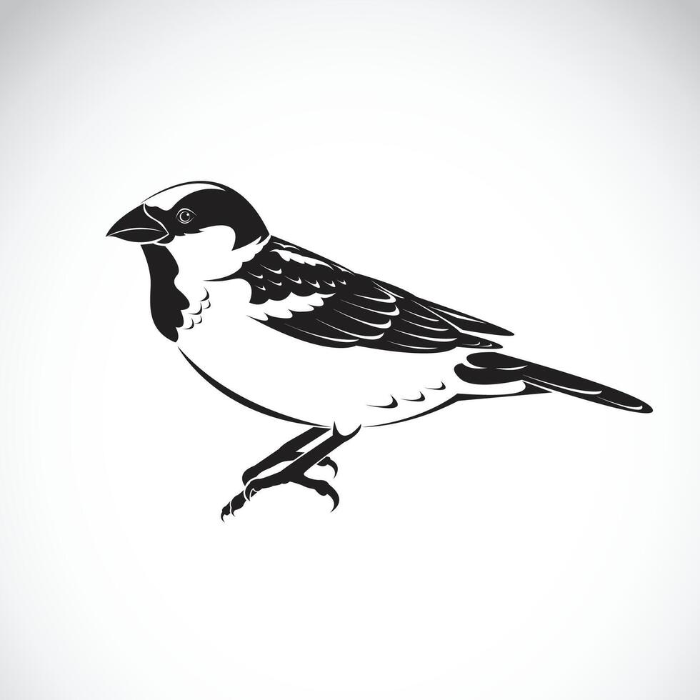 Vector of sparrow design on white background. Bird Icon