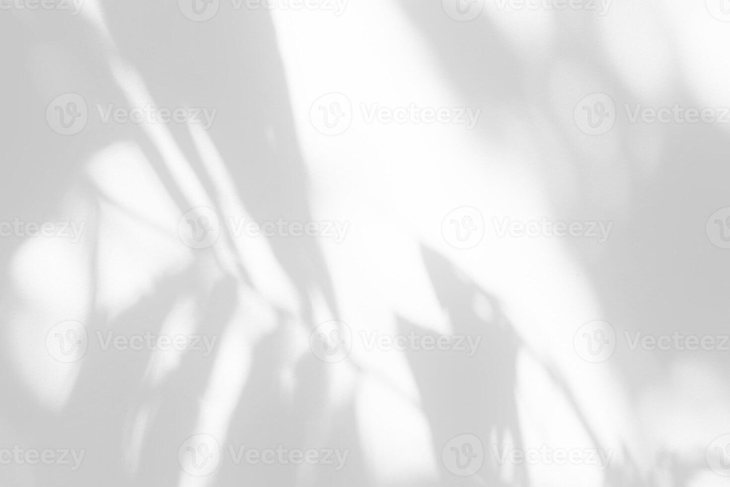 Leaves Shadow on White Concrete Wall Texture Background, Suitable for Overlay, Product Presentation, Backdrop and Mockup. photo