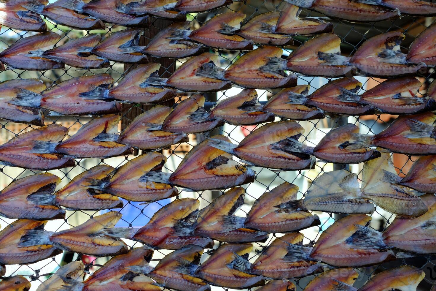 Salting Fish preservation by drying at Fisherman Village. photo