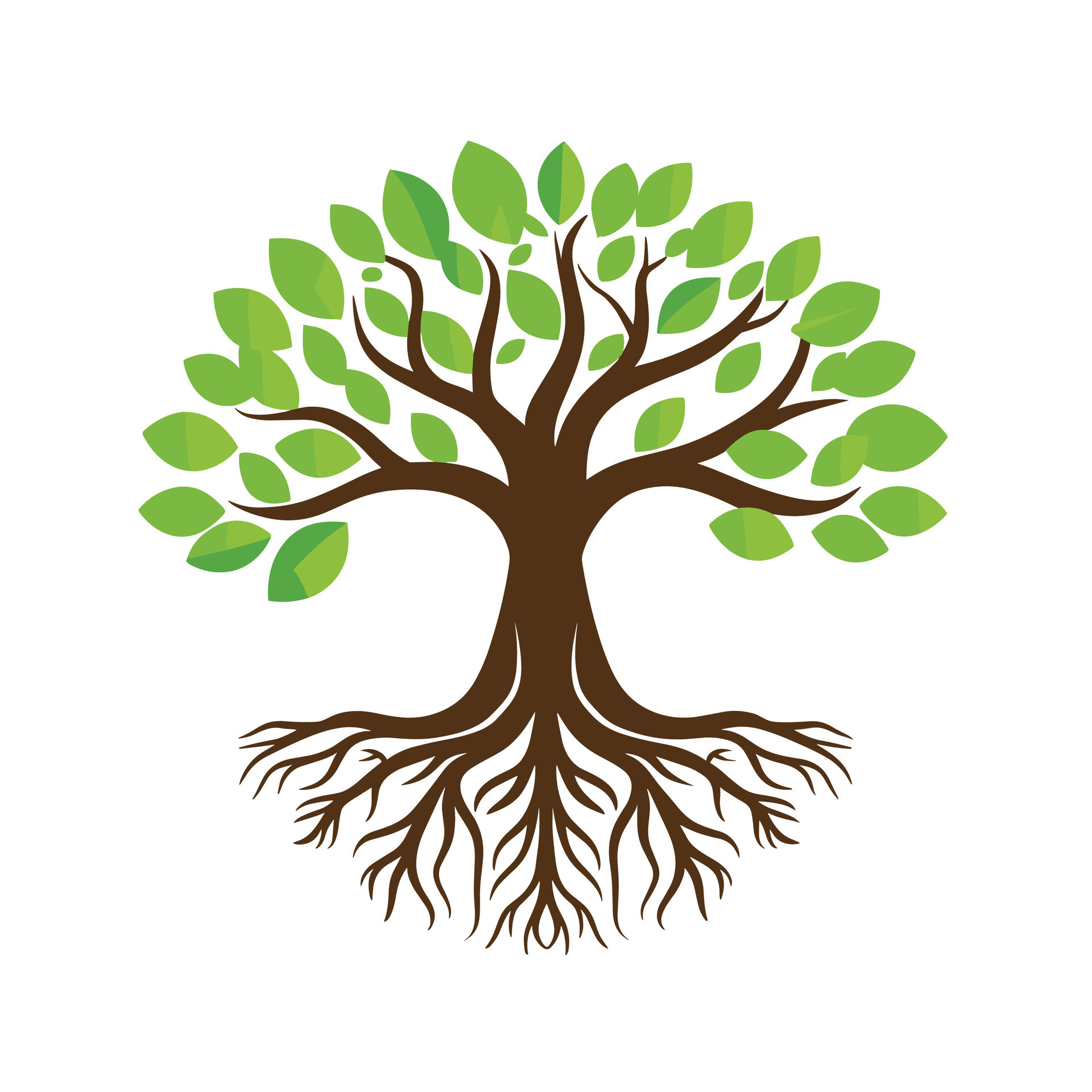 Tree with roots vector illustration 38011070 Vector Art at Vecteezy