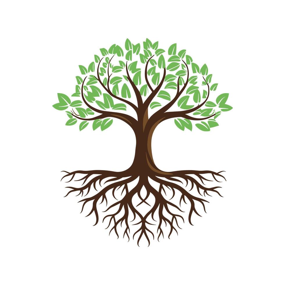 árbol con raíces vector ilustración