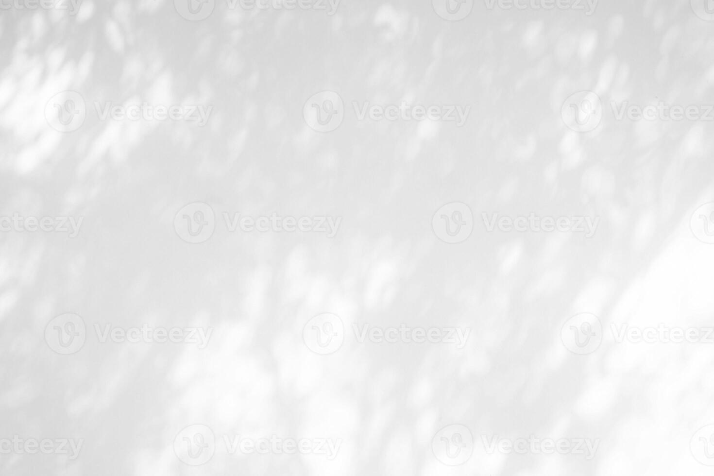 White Concrete Wall Texture Background with Light Bokeh and Shadow of Tree Branch on the Surface. photo