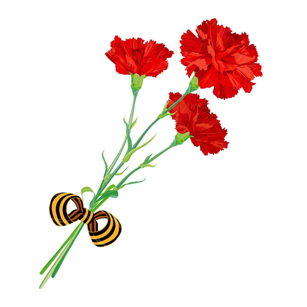 Red carnations isolated on a white background. A bouquet with a St. George ribbon to honor the fallen heroes. Vector clipart for greeting cards for Victory Day, May 9. Symbol of revolution and victory