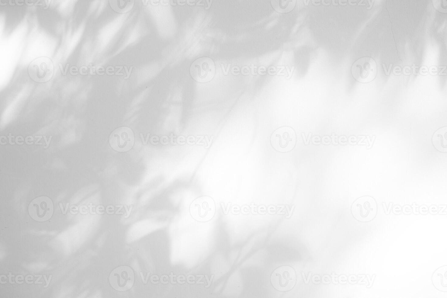 White Concrete Wall Texture Background with Light Bokeh and Shadow of Tree Branch on the Surface. photo