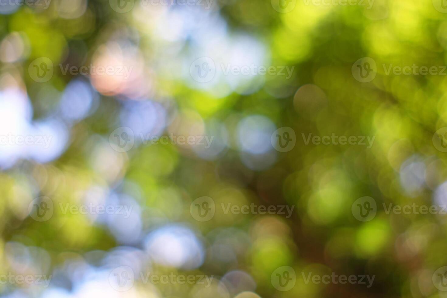 Abstract Colorful Bokeh in the Park Background. photo
