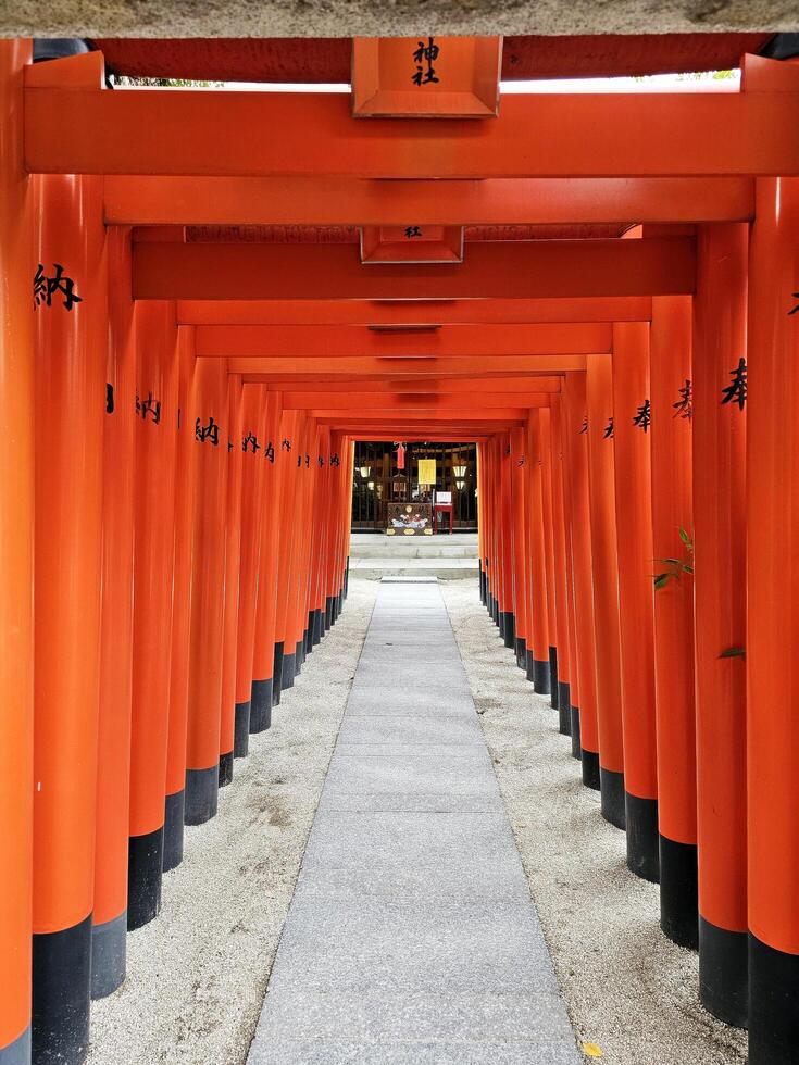 FUKUOKA, JAPAN  NOVEMBER 13, 2023 Red Torii gates at Kushida Jinja shrine where is a Shinto shrine located in Hakata-ku, Fukuoka, Japan, was founded in in 757. photo