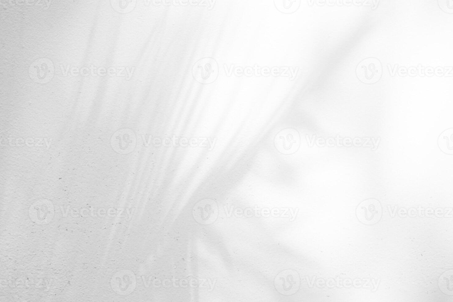 Abstract Palm Leaves Shadow on White Concrete Wall Texture Background. photo