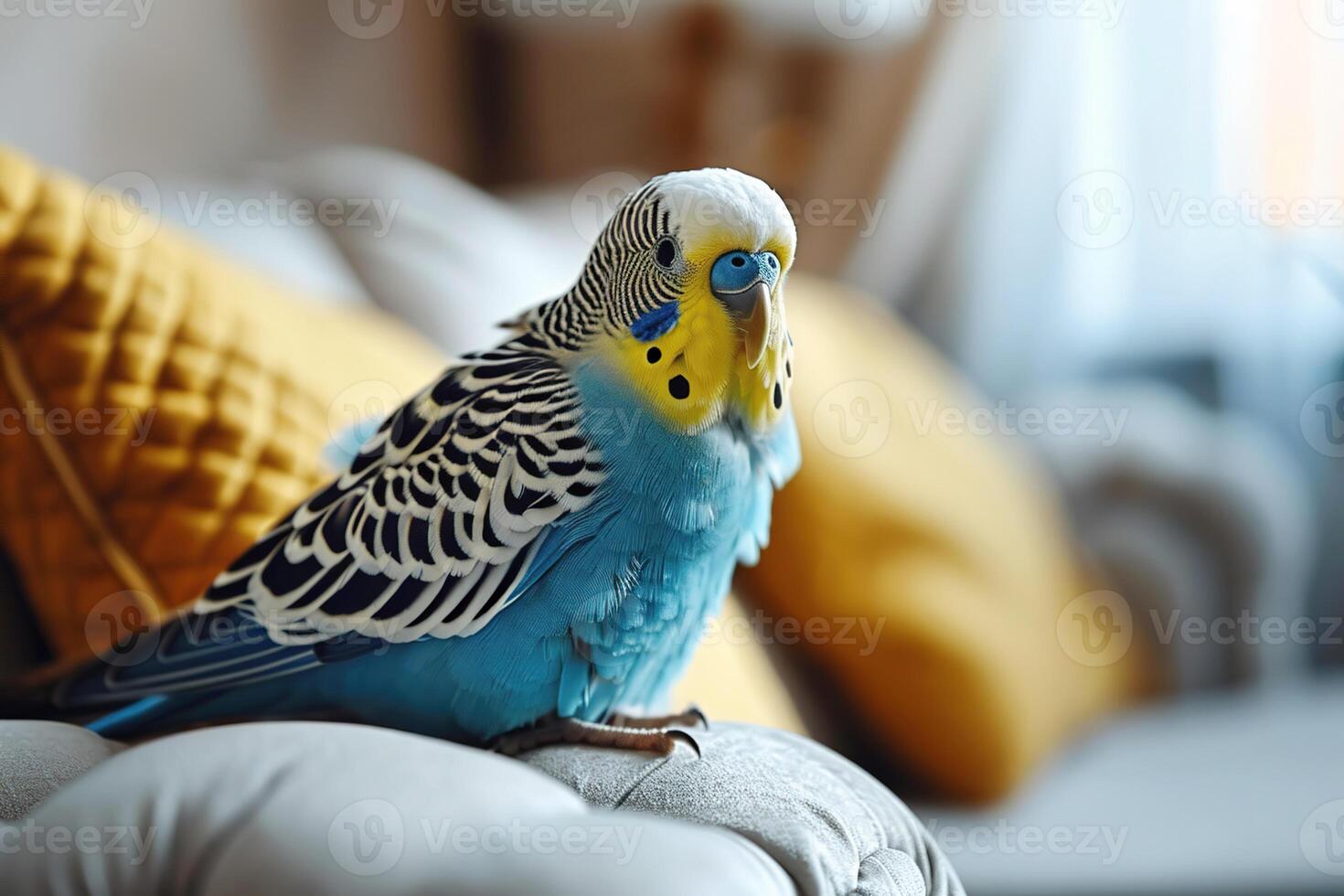 AI generated Adorable blue budgie sitting on the sofa in the living room on a sofa with yellow pillows photo