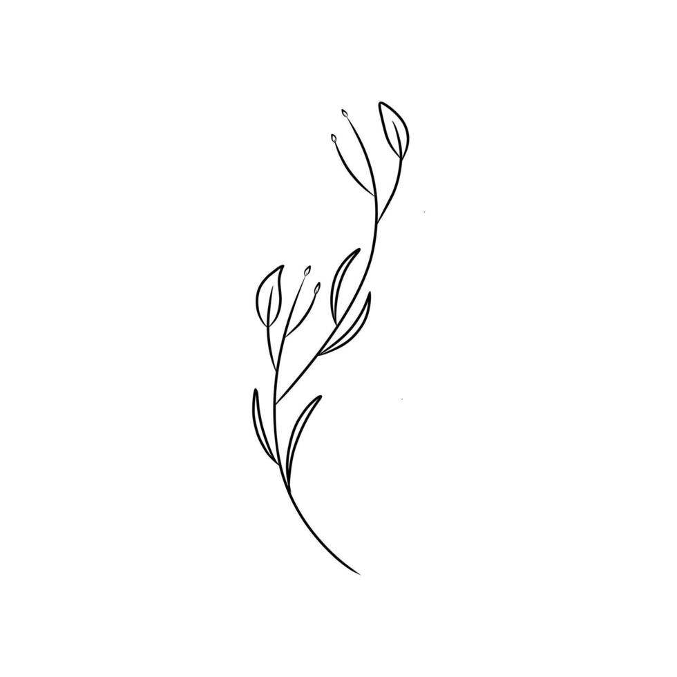 Simple line drawing of a flower suitable for nature themed designs, floral prints, garden illustrations, botanical patterns, and spring or summer themed projects. vector