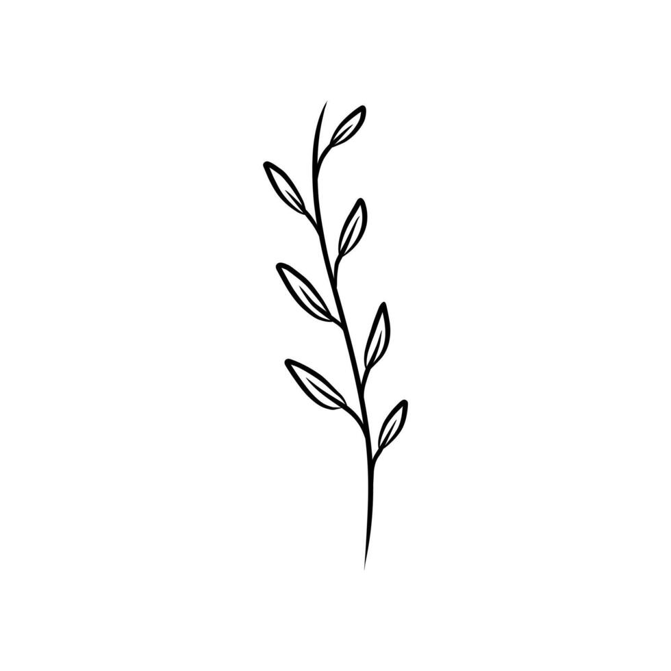 Simple line drawing of a plant suitable for home decor, interior design, botanical prints, nature themed designs, and minimalist illustrations. vector