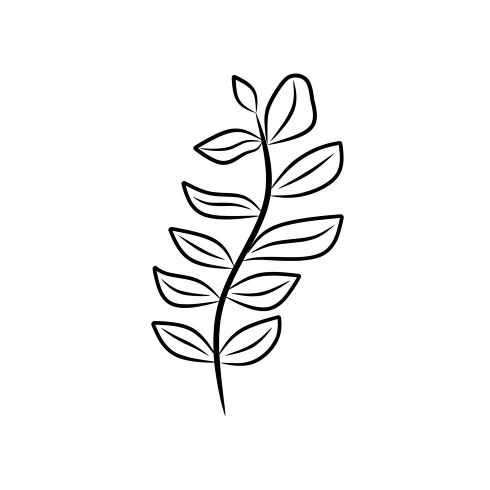 Black and white leaf drawing. Suitable for nature themed designs, botanical illustrations, educational materials, and organic product packaging. vector