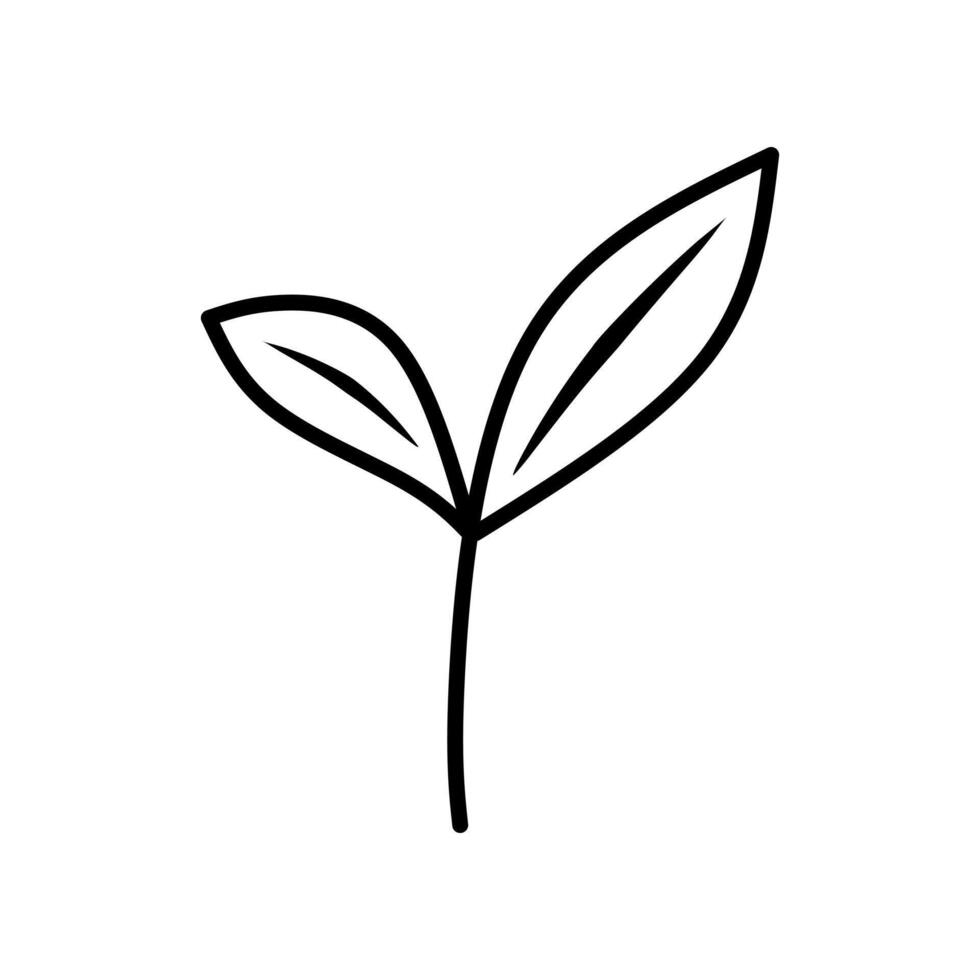 cerca arriba de frondoso planta en blanco fondo, adecuado para naturaleza, ambiental, y bienestar conceptos en diseño proyectos vector