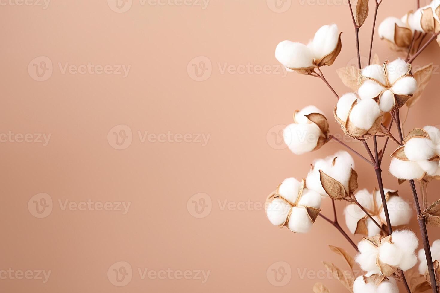 AI generated top view beautiful dried sprig of cotton on a beige background, natural decoration with copy space photo