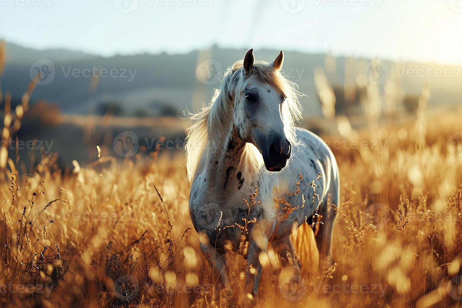 ai generado salvaje blanco con lugares caballo pasto en un prado a puesta de sol foto