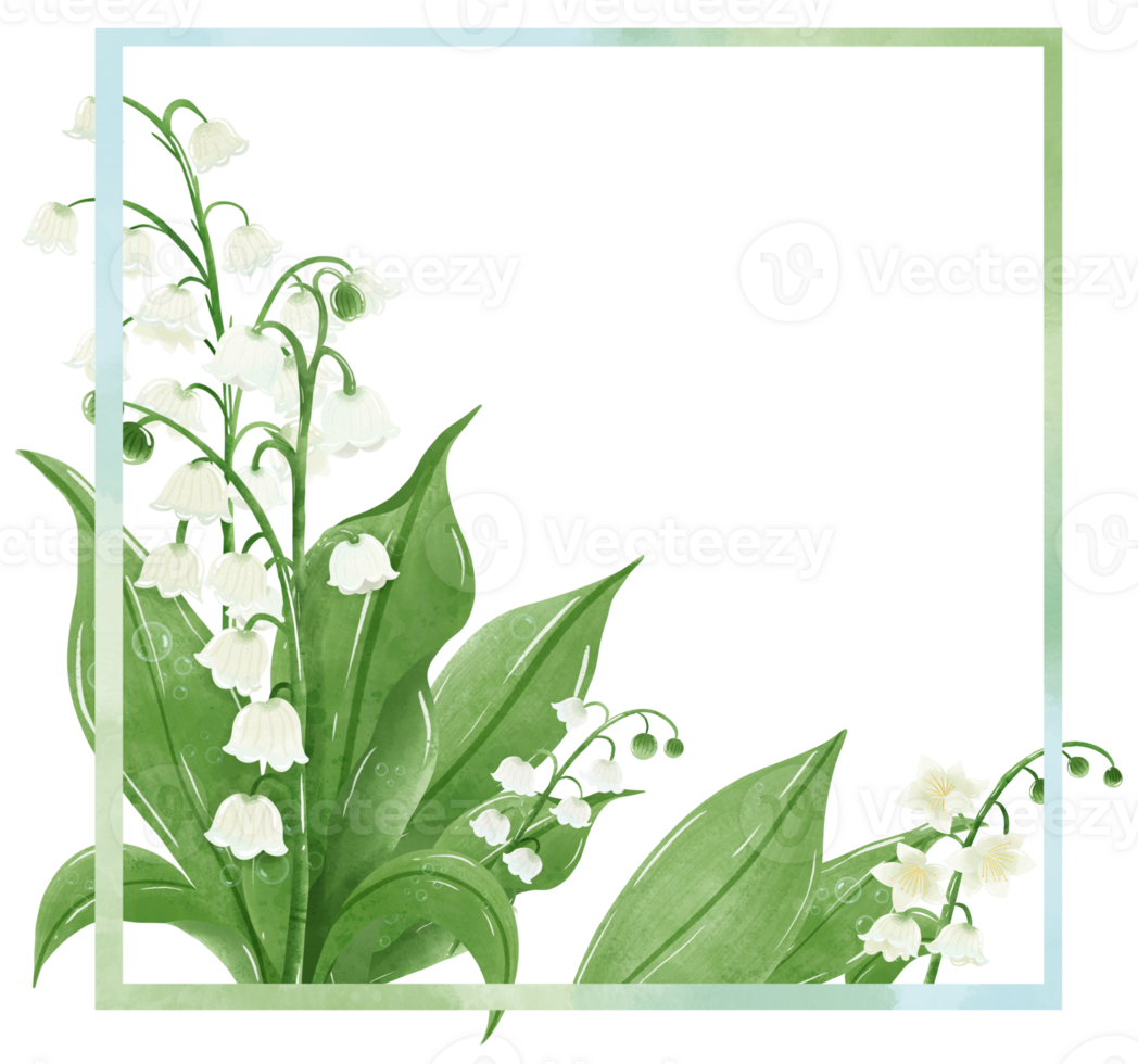 lilies of the valley frame wreath Hand Drawn Watercolor illustration of spring flowers botanical drawing postcards, invitations to weddings, birthdays, spring and summer png