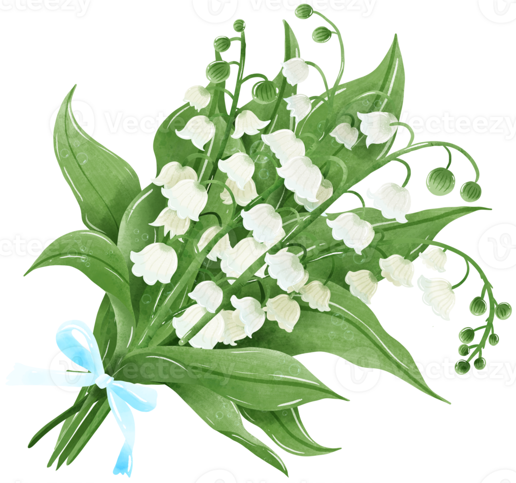A bouquet of lilies of the valley, tied with a blue ribbon. Hand Drawn Watercolor illustration of spring flowers botanical drawing postcards, invitations to weddings, birthdays, spring and summer png