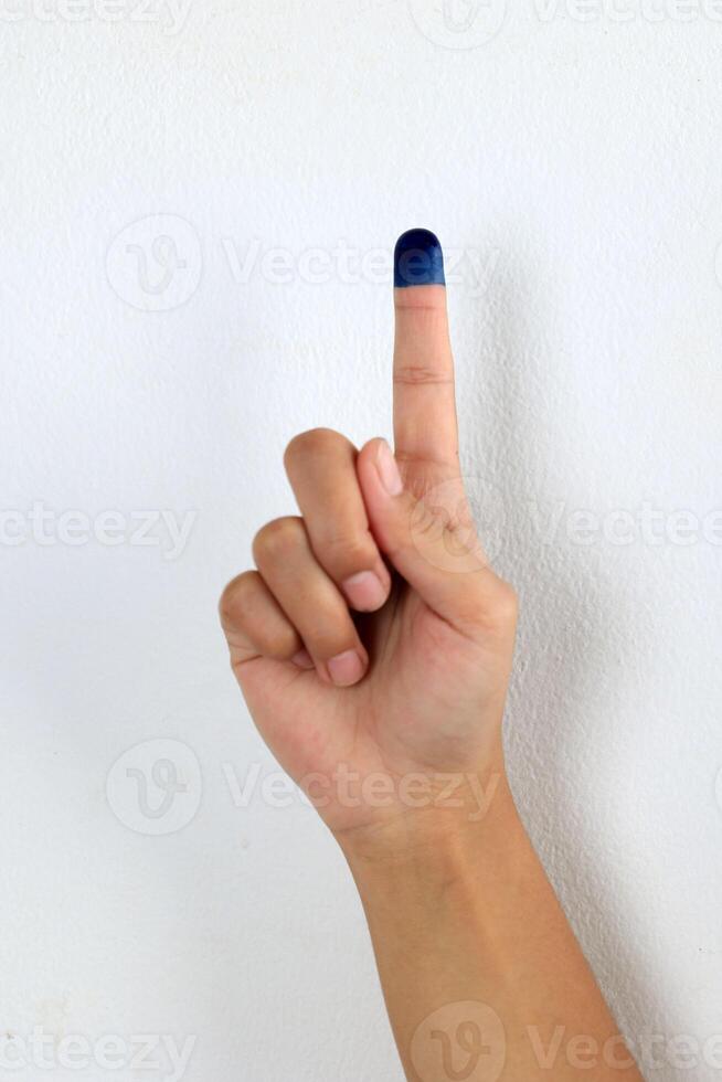 Purple Ink After Electoral Vote photo