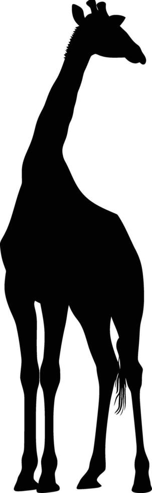 AI generated Silhouette giraffe black color only full body vector