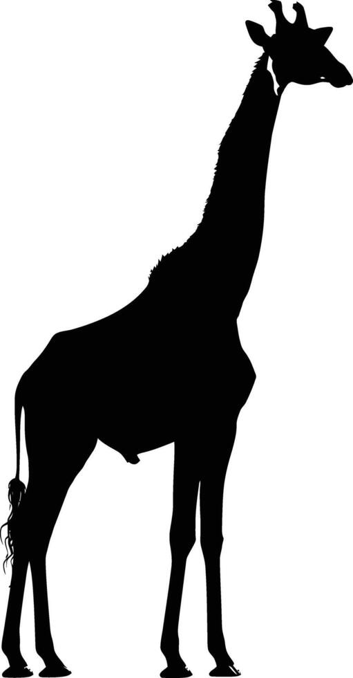 AI generated Silhouette giraffe black color only full body vector