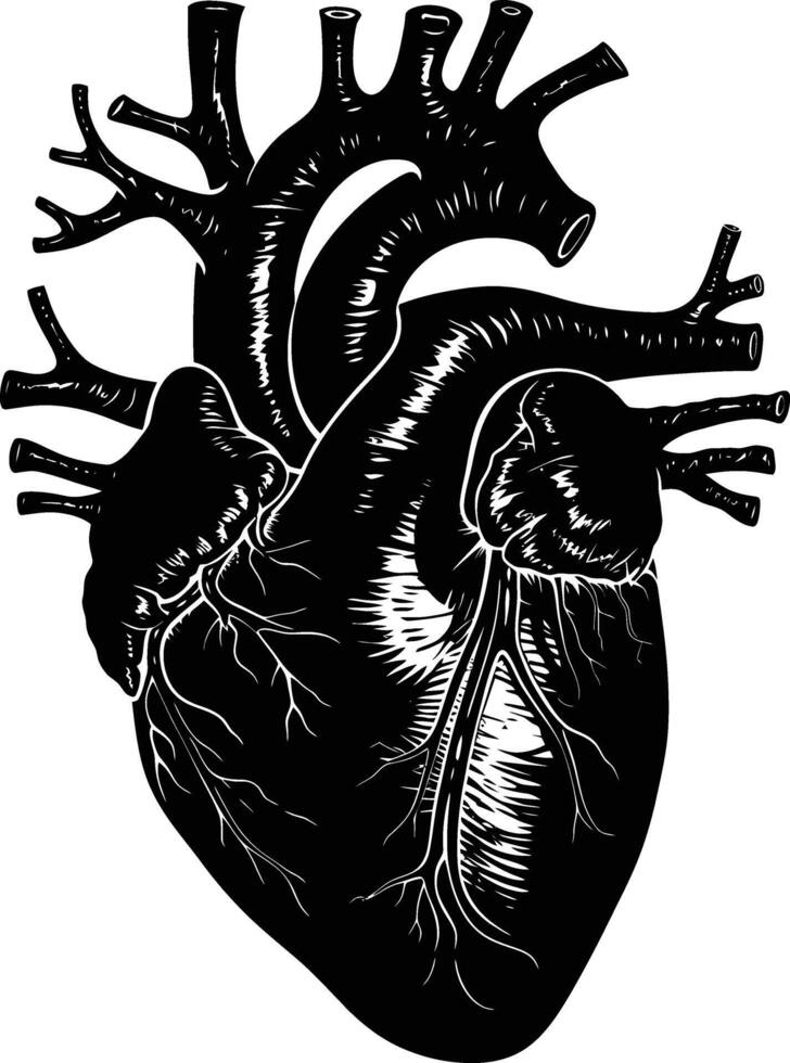 AI generated Silhouette for internal organs of heart black color only vector