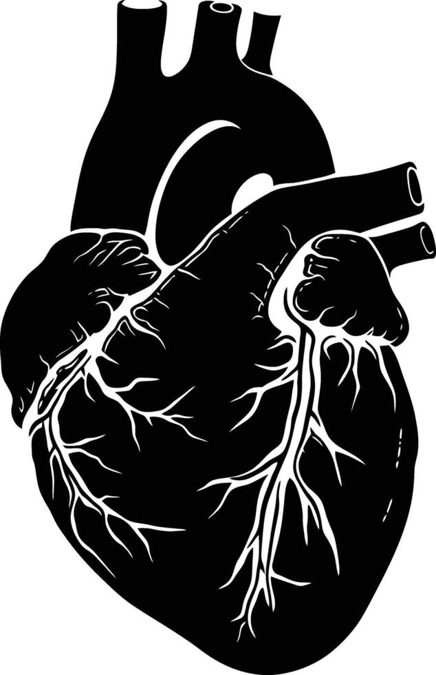 AI generated Silhouette for internal organs of heart black color only vector