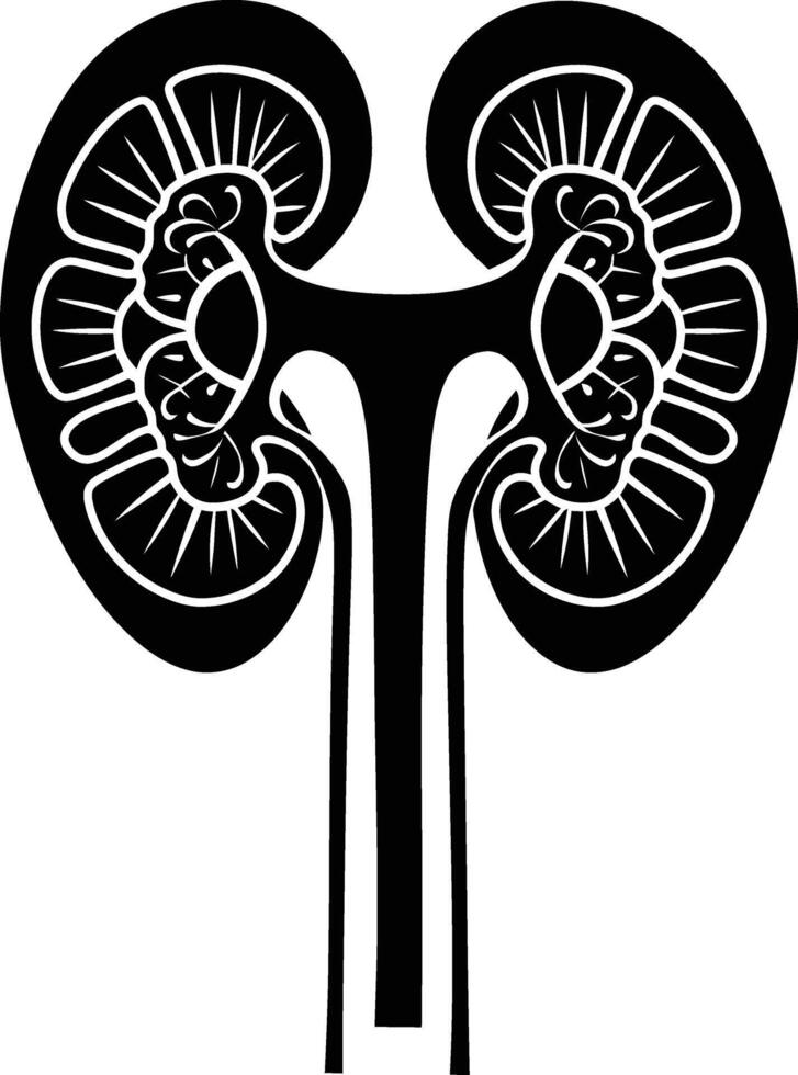 AI generated Silhouette for internal organs of kidney black color only vector