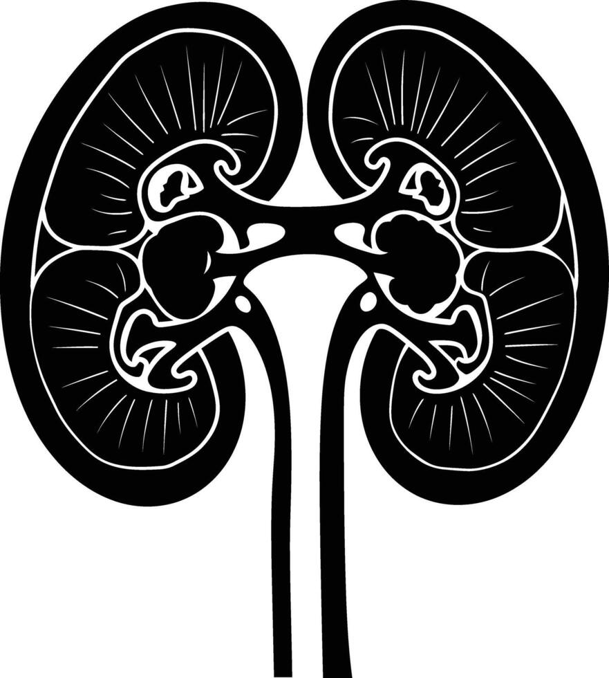 AI generated Silhouette for internal organs of kidney black color only vector