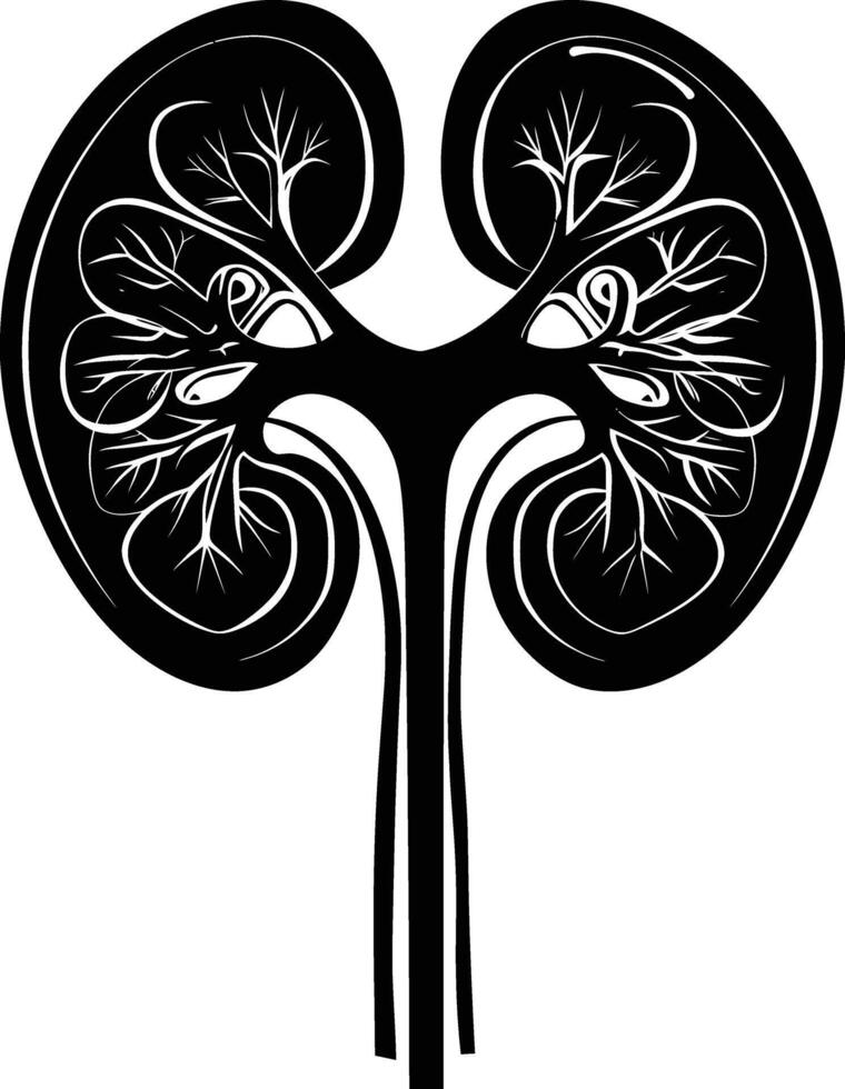 AI generated Silhouette for internal organs of kidney black color only vector